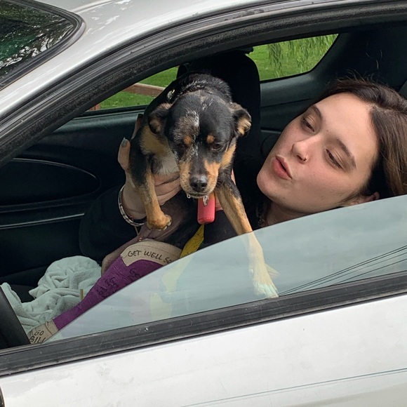 Meet your Posher, Megan - Picture 13 of 15